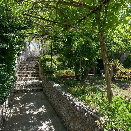 Πανσιόν With Wifi Lopud, Elafiti - 2169 Lopud